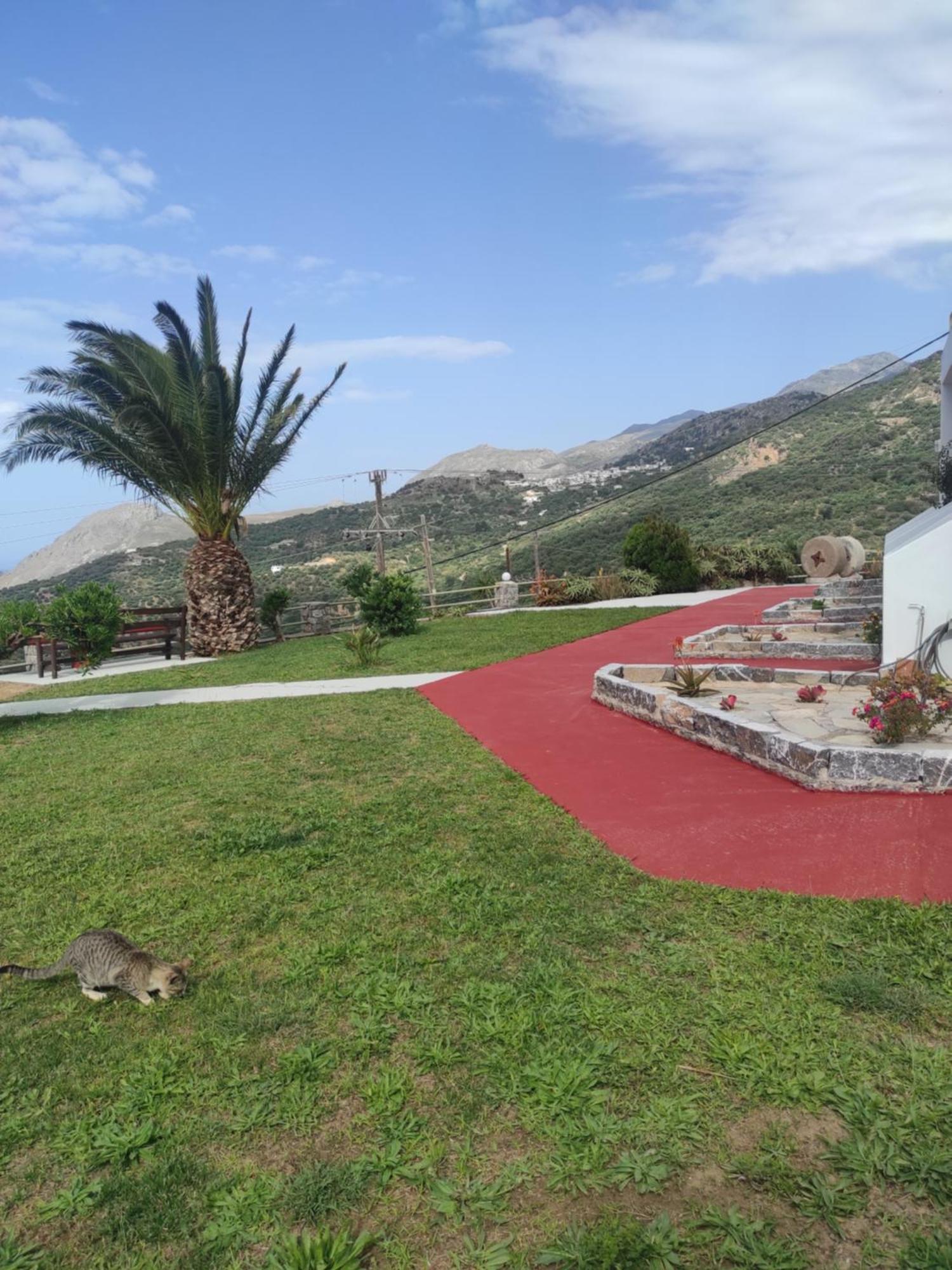 Chrisanthi Studios & Apartments Πλακιάς Εξωτερικό φωτογραφία