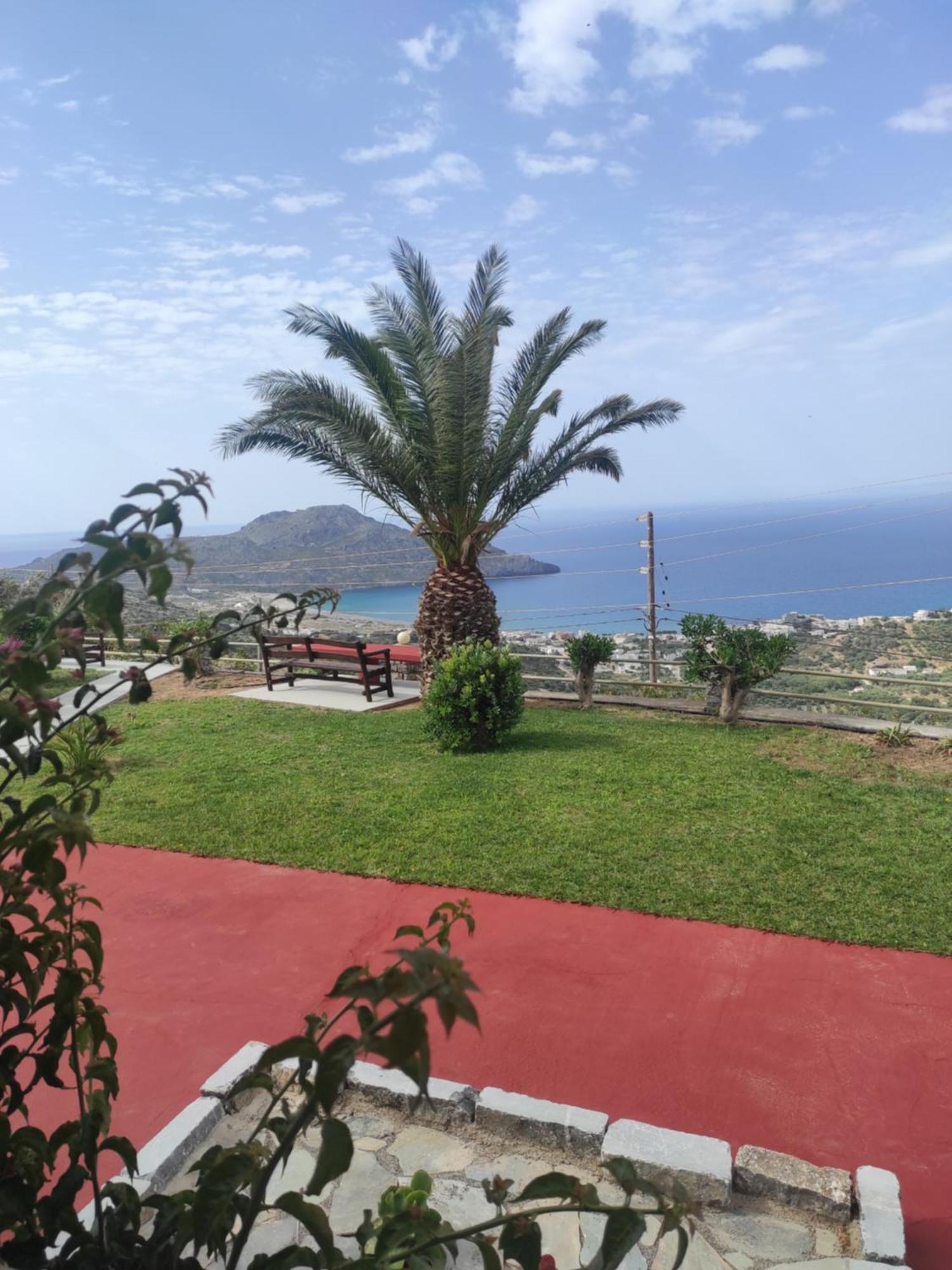 Chrisanthi Studios & Apartments Πλακιάς Εξωτερικό φωτογραφία